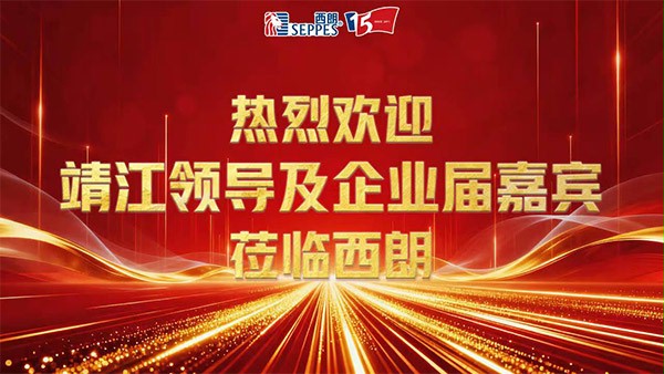靖江市政企代表團到訪好色先生TV污污門業考察交流